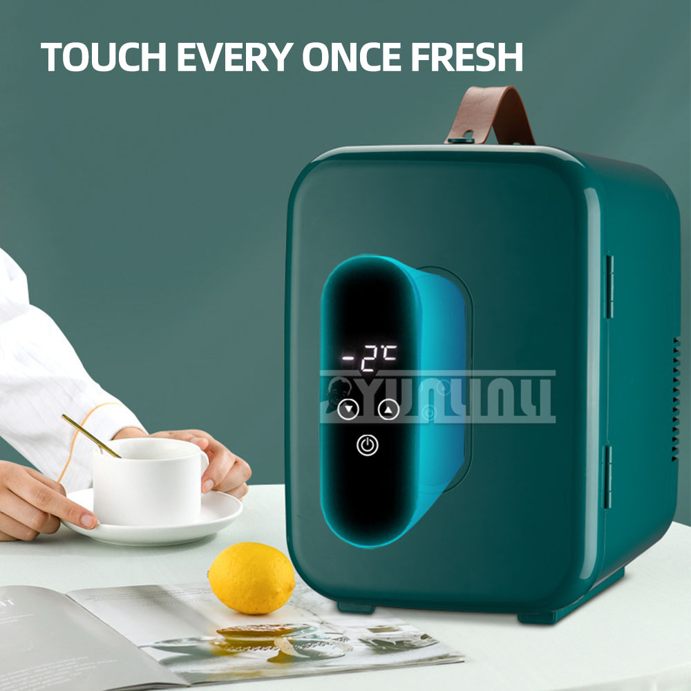 Portable Mini Fridge 12L Car R - Food Storage Zone review and price