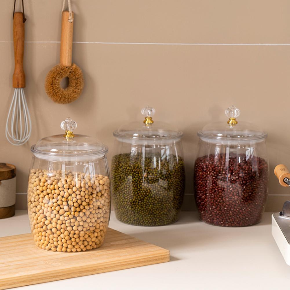Large Transparent Plastic Seal - Food Storage Plastic Containers With Lids review and price